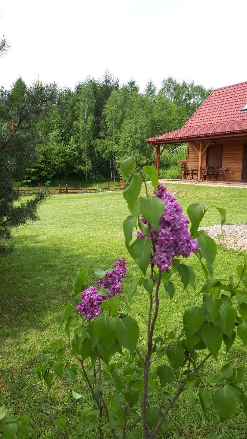 Dom Nad Dolina Sanu Villa Ruszelczyce Eksteriør bilde
