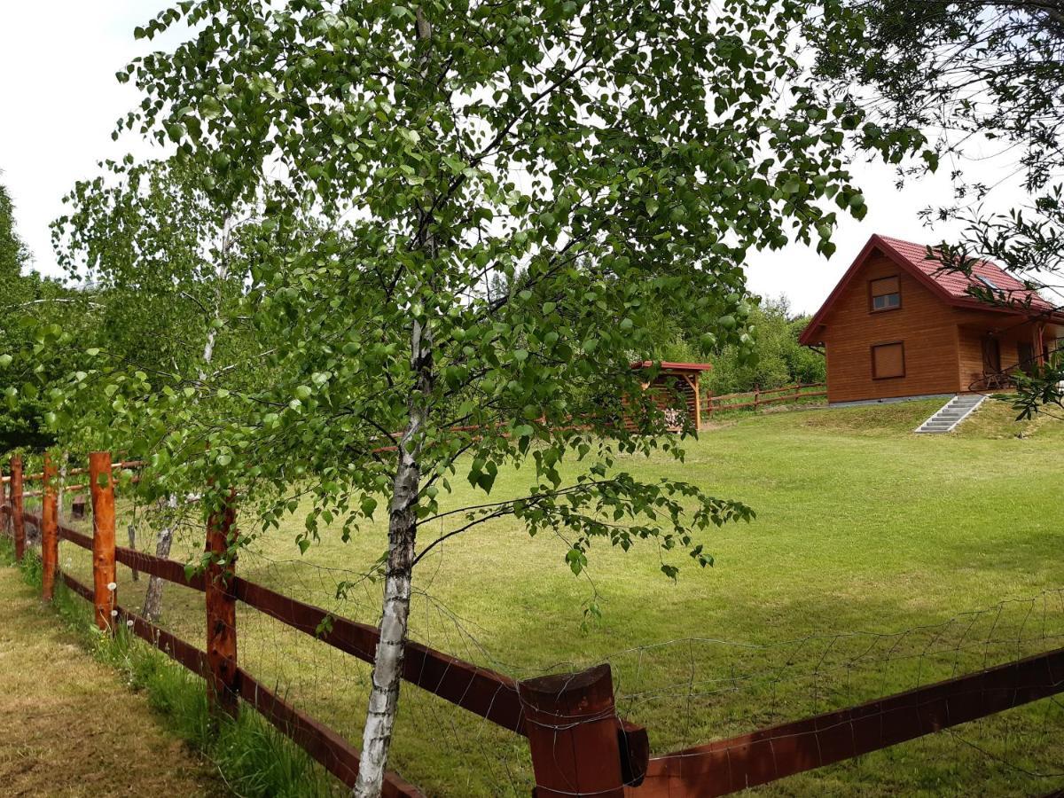 Dom Nad Dolina Sanu Villa Ruszelczyce Eksteriør bilde