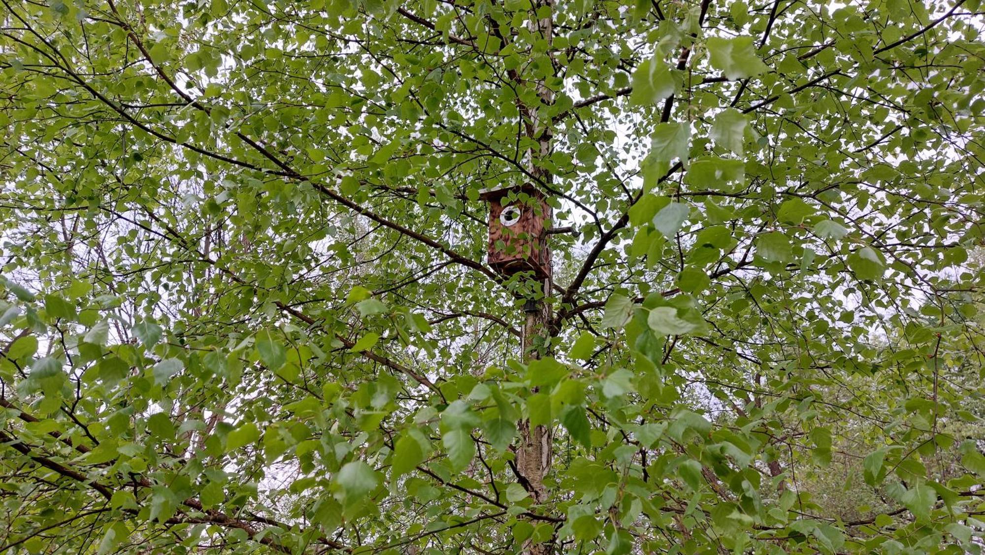 Dom Nad Dolina Sanu Villa Ruszelczyce Eksteriør bilde