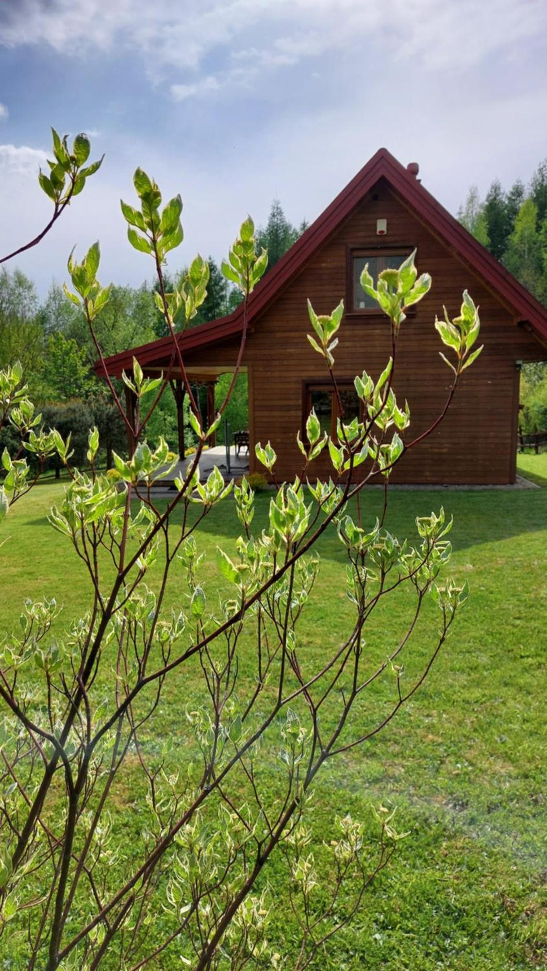 Dom Nad Dolina Sanu Villa Ruszelczyce Eksteriør bilde