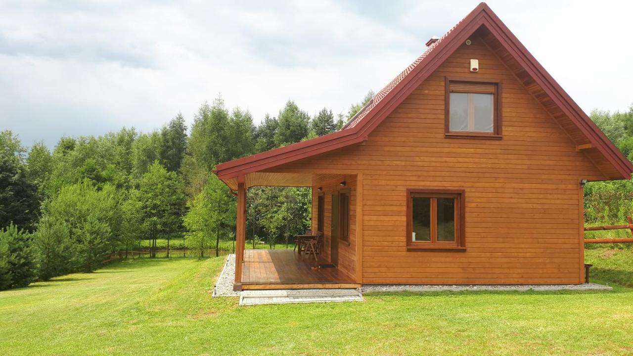 Dom Nad Dolina Sanu Villa Ruszelczyce Eksteriør bilde